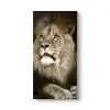 Aslan Tablosu 80 x 160