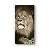 Aslan Tablosu 80 x 160