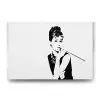 Audrey Hepburn Makyaj Tablosu - 60x40cm