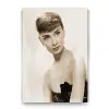 Audrey Hepburn Tablosu 60x90 cm