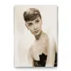 Audrey Hepburn Tablosu 60x90 cm