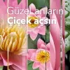 Bahar Çiçekleri Mum 112 g