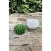 Ball kaktüs mum kalıbı, silikon