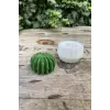 Ball kaktüs mum kalıbı, silikon