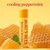 Beeswax Lip Balm 2li