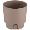 Begonya 21,5 L