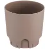 Begonya 21,5 L