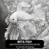 Beta Fısh Grayscale Coloring Book