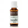 Biberiye Yağı 10 ML