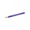 Bic Kids Evolution Üçgen Jumbo Kuru Boya Kalemi 12 Renk