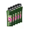 Bio-Tech Güçlendirici Şampuan 525 ml, 5 Adet