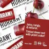 Black Cherry Tinted Lip Balm Dudak Balmı Vişne 4.8g