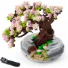 Bonsai Ağacı Sukulent/Sakura Saksı Bitki Yapı Blokları Seti (Sakura)