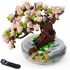 Bonsai Ağacı Sukulent/Sakura Saksı Bitki Yapı Blokları Seti (Sakura)