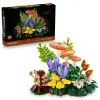 Botanicals Orman Mantarları 11505