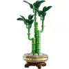 Botanicals Şans Bambusu 10344