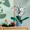 Botanicals Sukulentler 10309