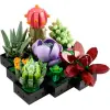 Botanicals Sukulentler 10309