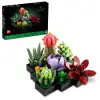 Botanicals Sukulentler 10309