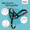 Boyut 2 Siyah Köpek Halter Tasması, 35-48 cm