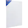 BR-335 Tuval 25X35