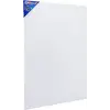BR-335 Tuval 25X35