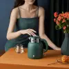 BR1040 retro su ısıtıcı kettle, yeşil çelik