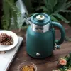 BR1040 retro su ısıtıcı kettle, yeşil çelik
