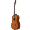 C40 Klasik Gitar