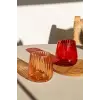 Cam Su Bardağı Turuncu 450 ml BRD0127