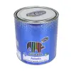 Caparol Astarix Astar Boya 0,75 L