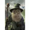 Catdalf Poster