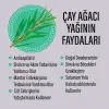 Çay Ağacı Roll-on 50 ml