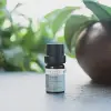 Çay Ağacı Uçucu Yağı, Organik 5 ml