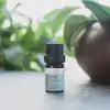 Çay Ağacı Uçucu Yağı, Organik 5 ml