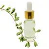 Çay Ağacı Yağı 20 ML