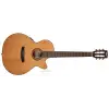 CEC5 Nat elektro klasik gitar
