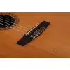 CEC5 Nat elektro klasik gitar
