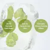 Centella Calming Gel Cream