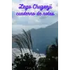 Chuzenji Gölü Defteri