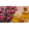 Çitlenbik Yağı 50 Ml