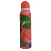 Classic Deodorant 1 Paket (1 x 150 ml)