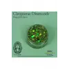 Cleopatras Diamonds - Jel Formlu Doğal Glitter