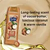 Cocoa Butter & Shea Duş Jeli 532 Ml