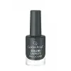 Color Expert Nail Lacquer No:102 2li set