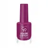 Color Expert Nail Lacquer No:413