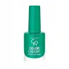 Color Expert Nail Lacquer Oje, No:117