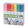 Color set (Pıntor-M-12 basic)