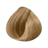 Colour Rp Revlonissimo Cc 10.31 60ml