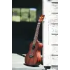 Concert Ukulele